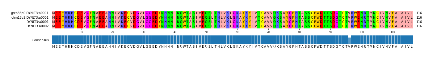 Multiple Alignments (by translate haplotype similarity)