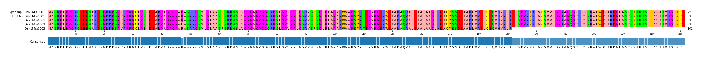 Multiple Alignments (by translate haplotype frequency)