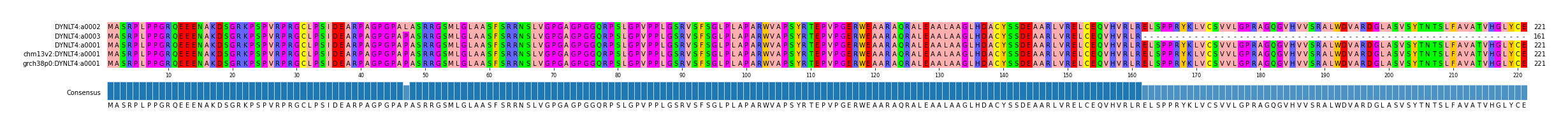 Multiple Alignments (by translate haplotype similarity)