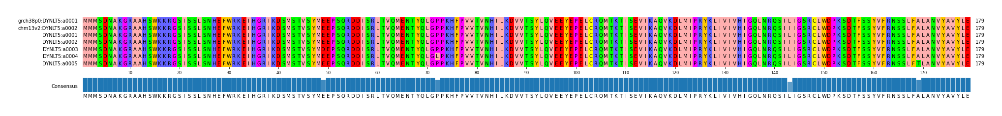 Multiple Alignments (by translate haplotype frequency)