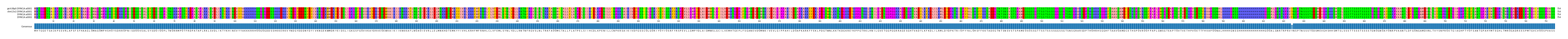 Multiple Alignments (by translate haplotype similarity)