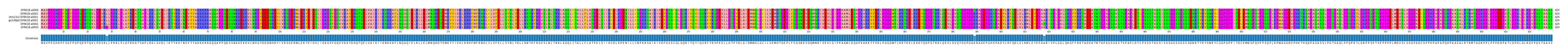 Multiple Alignments (by translate haplotype similarity)