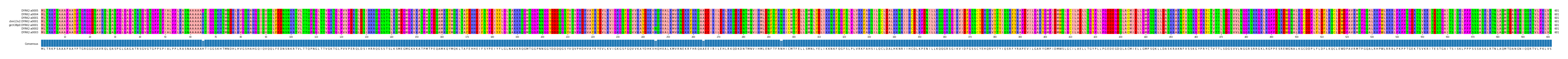 Multiple Alignments (by translate haplotype similarity)