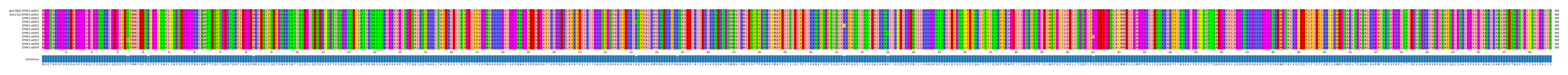 Multiple Alignments (by translate haplotype frequency)