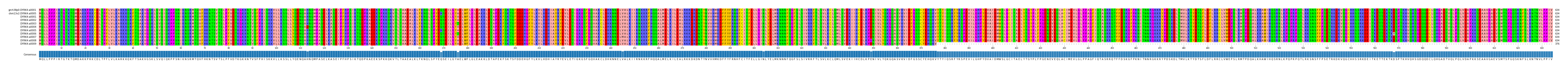 Multiple Alignments (by translate haplotype frequency)