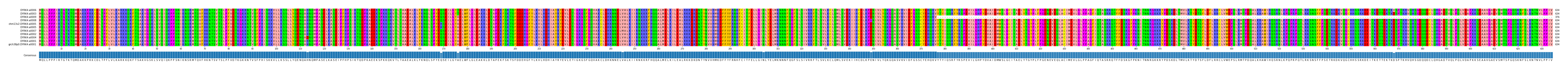 Multiple Alignments (by translate haplotype similarity)