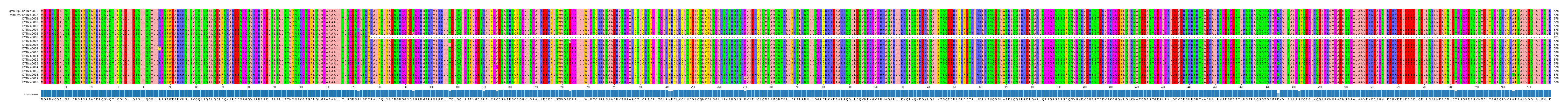 Multiple Alignments (by translate haplotype frequency)