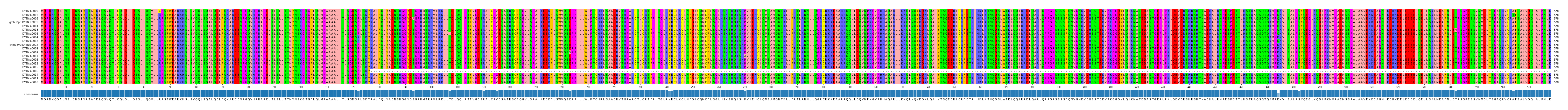 Multiple Alignments (by translate haplotype similarity)
