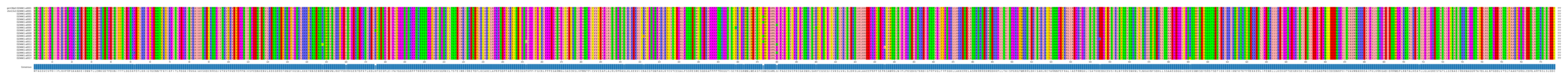 Multiple Alignments (by translate haplotype frequency)