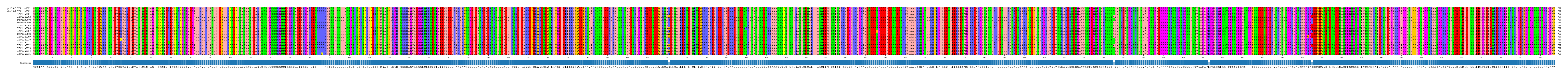 Multiple Alignments (by translate haplotype frequency)
