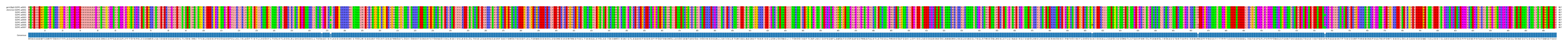 Multiple Alignments (by translate haplotype frequency)