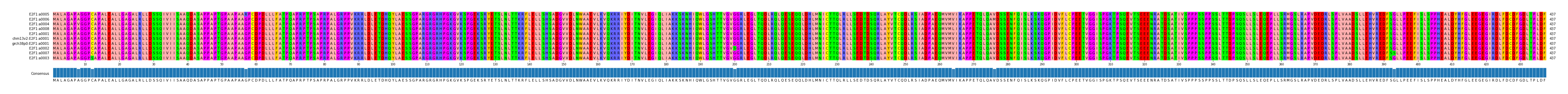 Multiple Alignments (by translate haplotype similarity)