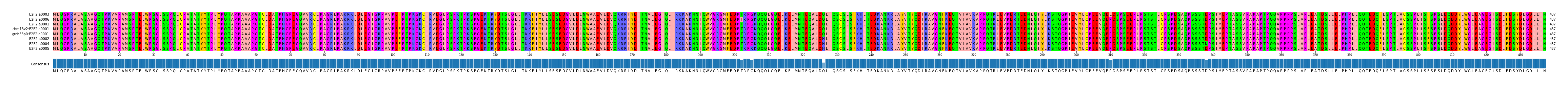 Multiple Alignments (by translate haplotype similarity)
