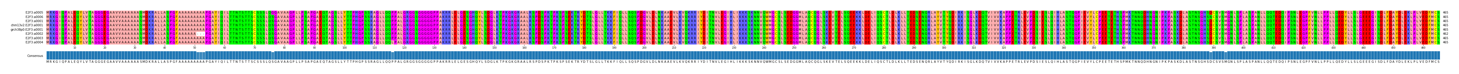 Multiple Alignments (by translate haplotype similarity)