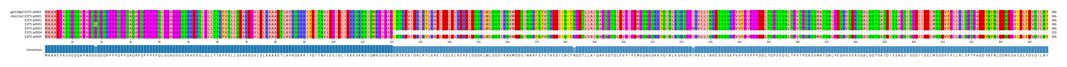 Multiple Alignments (by translate haplotype frequency)