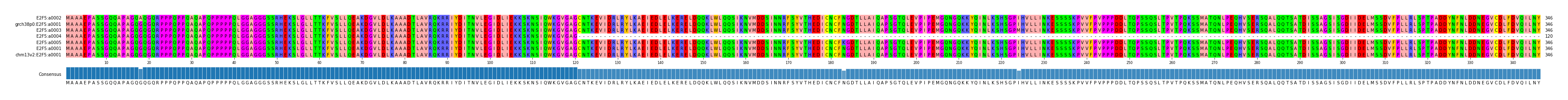 Multiple Alignments (by translate haplotype similarity)