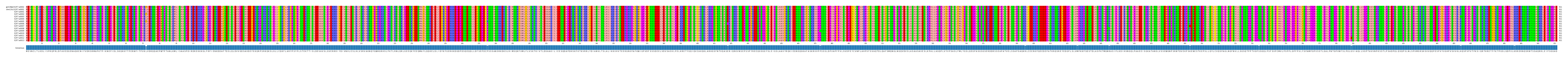 Multiple Alignments (by translate haplotype frequency)