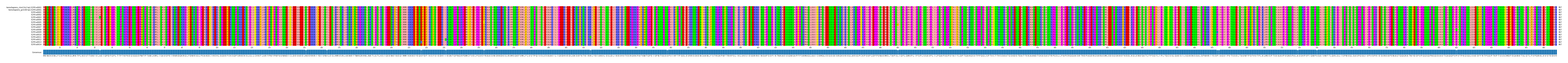 Multiple Alignments (by translate haplotype frequency)
