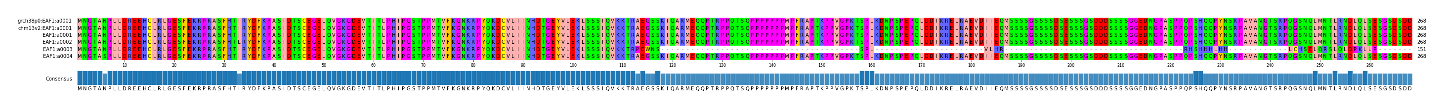 Multiple Alignments (by translate haplotype frequency)