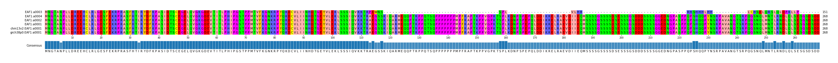 Multiple Alignments (by translate haplotype similarity)