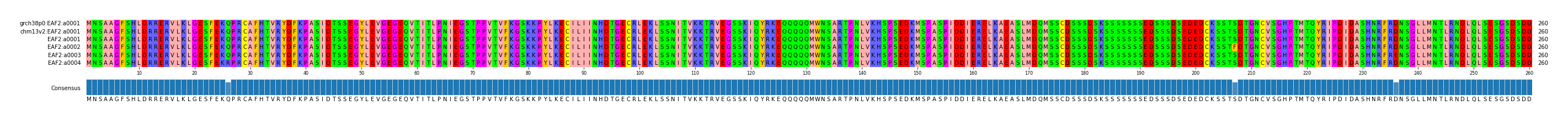Multiple Alignments (by translate haplotype frequency)
