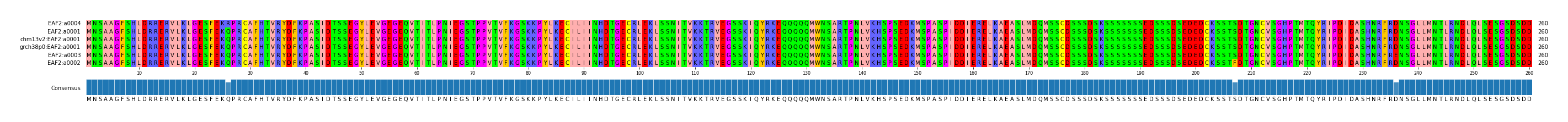 Multiple Alignments (by translate haplotype similarity)