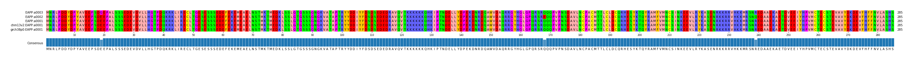 Multiple Alignments (by translate haplotype similarity)