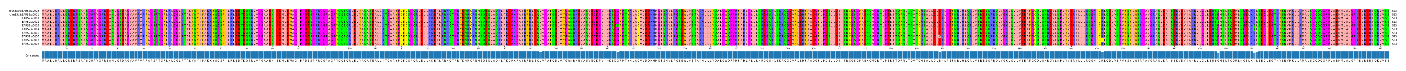 Multiple Alignments (by translate haplotype frequency)
