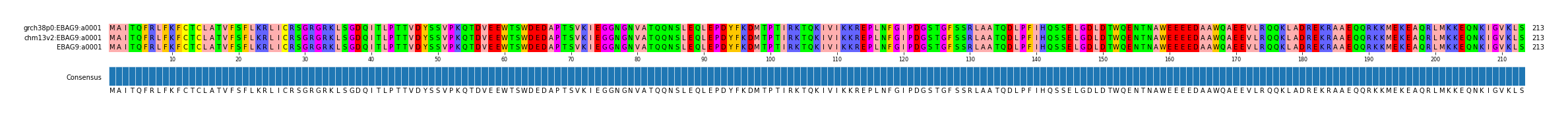Multiple Alignments (by translate haplotype similarity)