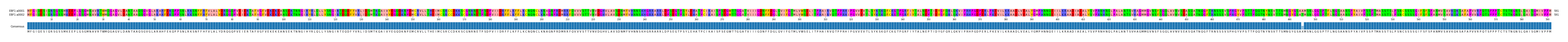 Multiple Alignments (by translate haplotype frequency)