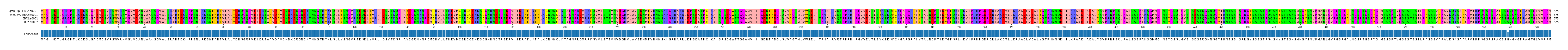 Multiple Alignments (by translate haplotype similarity)