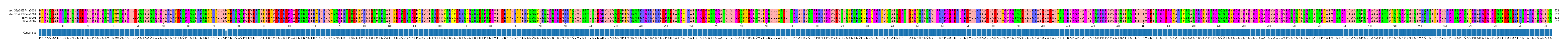 Multiple Alignments (by translate haplotype similarity)
