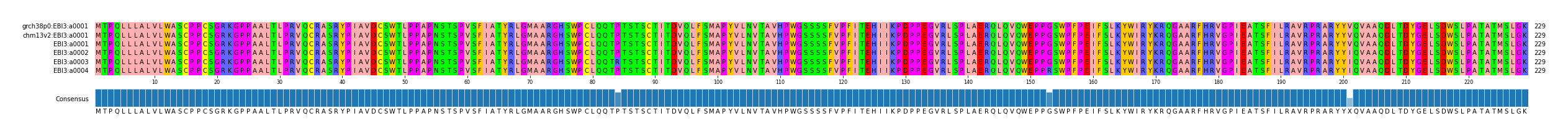 Multiple Alignments (by translate haplotype frequency)