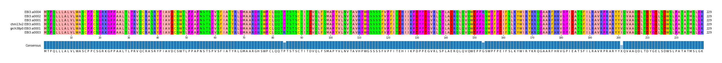 Multiple Alignments (by translate haplotype similarity)