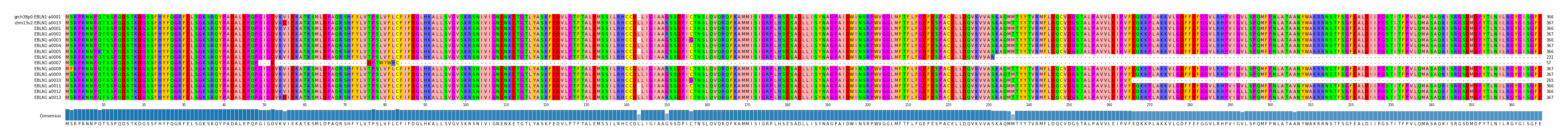 Multiple Alignments (by translate haplotype frequency)