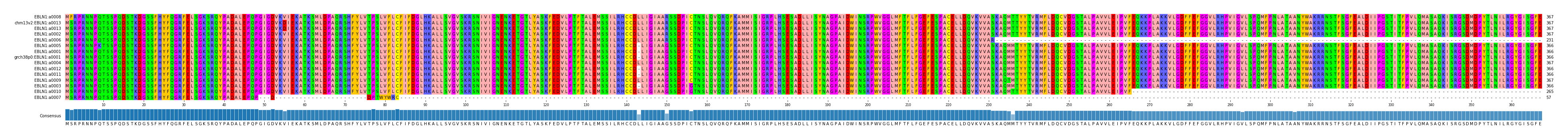 Multiple Alignments (by translate haplotype similarity)