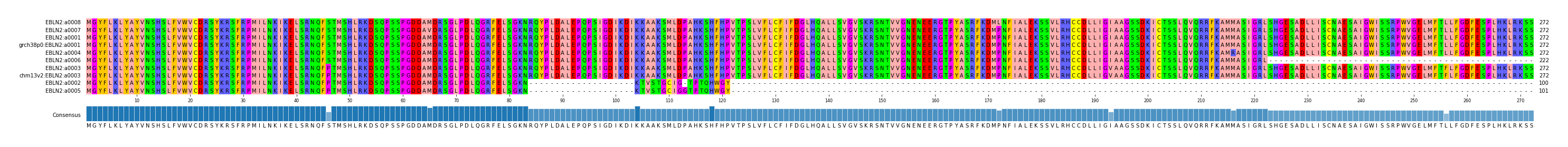 Multiple Alignments (by translate haplotype similarity)