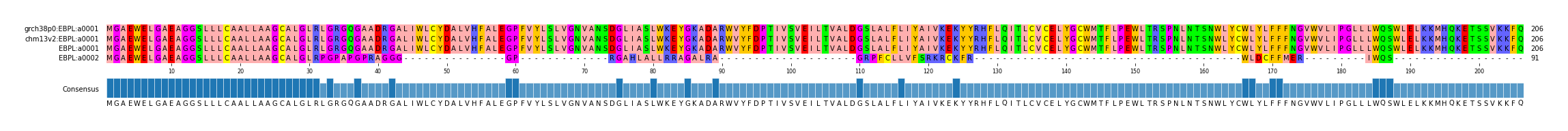 Multiple Alignments (by translate haplotype frequency)