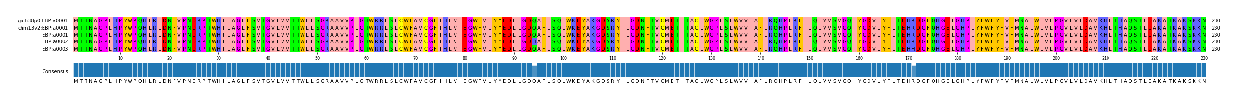 Multiple Alignments (by translate haplotype frequency)