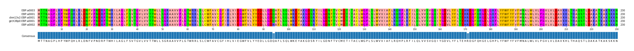Multiple Alignments (by translate haplotype similarity)