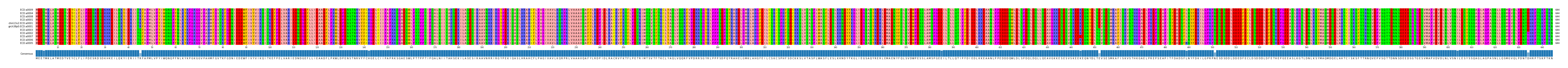 Multiple Alignments (by translate haplotype similarity)