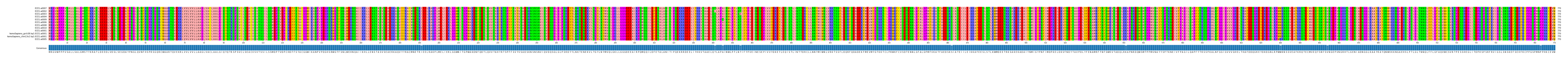 Multiple Alignments (by translate haplotype similarity)