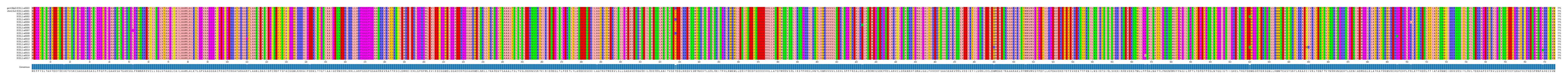 Multiple Alignments (by translate haplotype frequency)