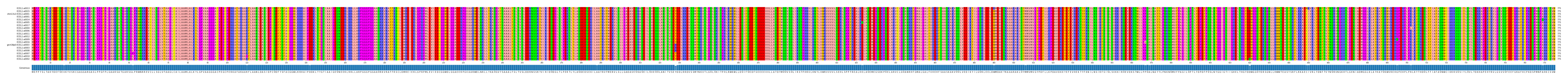 Multiple Alignments (by translate haplotype similarity)