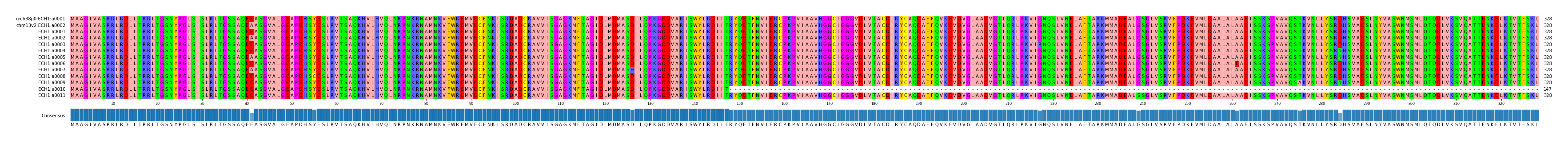 Multiple Alignments (by translate haplotype frequency)