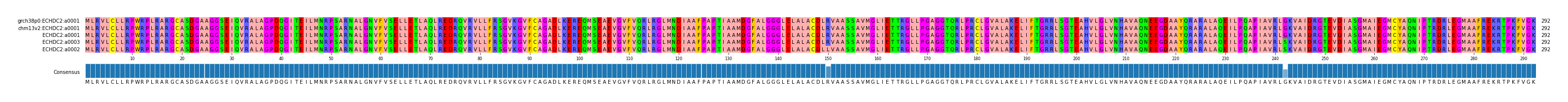 Multiple Alignments (by translate haplotype similarity)