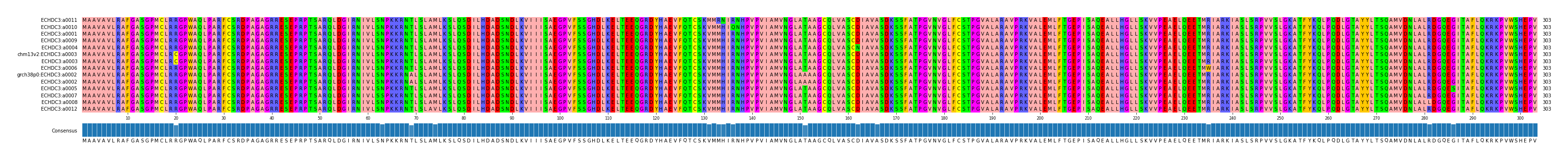 Multiple Alignments (by translate haplotype similarity)