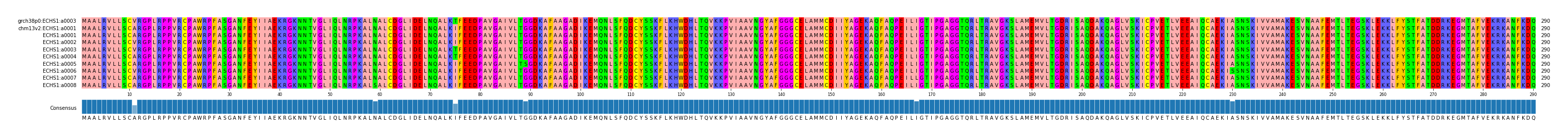 Multiple Alignments (by translate haplotype frequency)