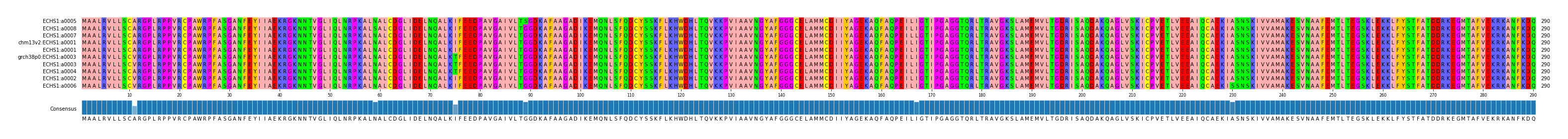 Multiple Alignments (by translate haplotype similarity)