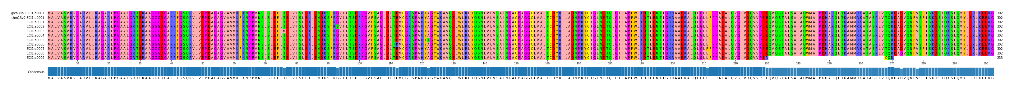 Multiple Alignments (by translate haplotype frequency)